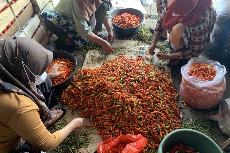 “Kalau Naik Terus Enggak Laku, Saya Hidup Bagaimana?” Pedagang Keluhkan Harga Cabai Melonjak