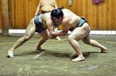 Sumo, Olahraga Gulat Tradisional Jepang