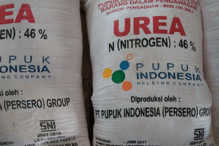Ilustrasi Pupuk Urea buatan PT Pupuk Kujang di Pabrik Pupuk PT Kujang Cikampek, Jawa Barat, Jumat (19/5/2017).
