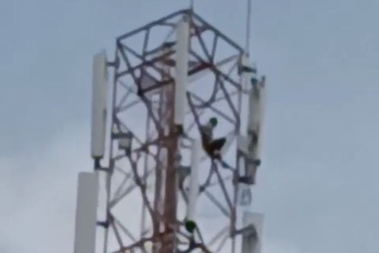 Remaja di Bangkalan Tewas Usai Lompat dari Tower BTS 100 Meter