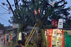 Hujan Deras di Bandung, Pohon Tumbang Padamkan Aliran Listrik