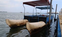 Pantai Bangsring Banyuwangi Tercemar Cairan Diduga Oli, Pariwisata dan Biota Laut Terancam