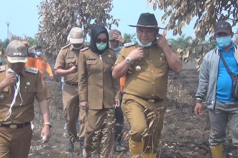 Bupati Ogan Ilir Akhirnya Datangi Kebun Raya Sriwijaya yang 1 Minggu Terbakar