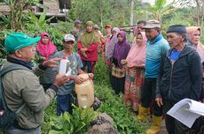 "Tobalu Coffee Project" Jadi Inisiatif Tingkatkan Kesejahteraan Petani Kopi Arabika Sulsel