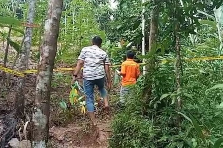 Tim Inafis Polres Tasikmalaya, Jawa Barat, sedang melakukan penyelidikan di lokasi penemuan mayat seorang kakek tewas dengan kepala penuh luka bacok di jalan setapak perkebunan Desa Bantarkalong Kecamatan Cipatujah Kabupaten Tasikmalaya, Kamis (11/5/2023).