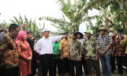 Mentan Amran Pastikan Tambahan Anggaran untuk Peningkatan Produksi Pangan dan Pupuk Bersubsidi Segera Terealisasi