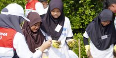 Tumbuhkan Cinta Lingkungan, Pertamina Ajak Siswa SD Tanam 20.000 Mangrove