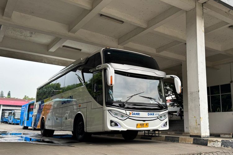 Ilustrasi bus DAMRI.