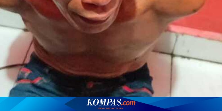Insiden Warga Diduga Konsumsi Daging Kucing di Pagar Alam, Dinkes Diminta Jemput Bola Cegah Rabies