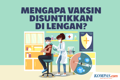 INFOGRAFIK: Mengapa Vaksin Disuntikkan di Lengan?