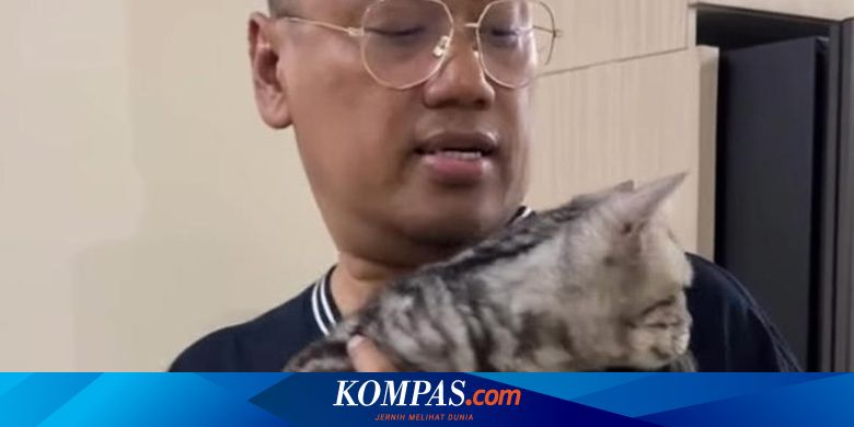 Sherina Munaf Kembalikan 5 Kucing dan Respons Uya Kuya