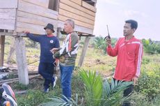 Masuk Kebun, Gajah Liar Rusak 30 Pohon Sawit di Muratara