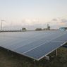 Transisi Energi Jadi Bagian Penting Capai SDGs