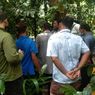 Kawanan Monyet Teror Rumah Lufti di Simalungun, Serang Istri, Gigit Cucu dan Anak Tetangga