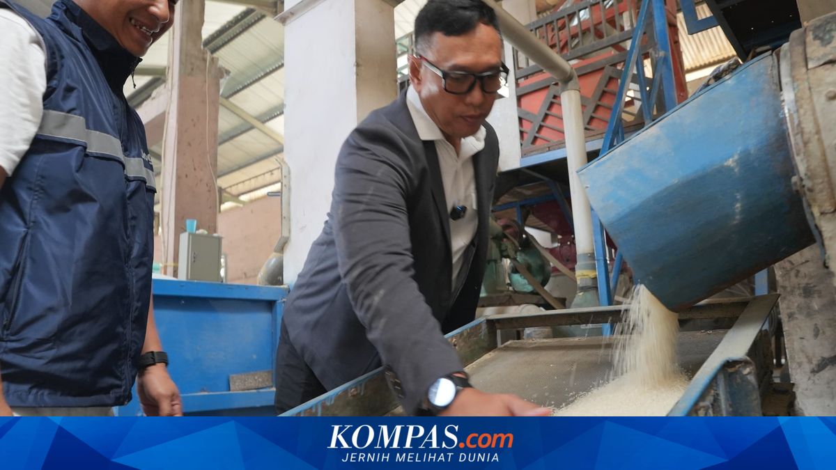 Bulog Kelola 5,4 Juta Ton Beras, Penggilingan Padi Diminta Jaga Mutu