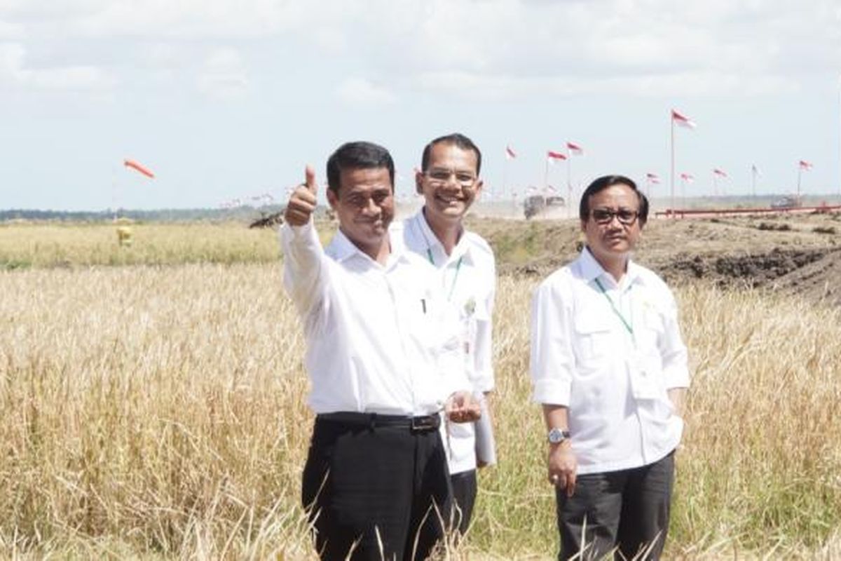 Menteri Pertanian Andi Amran Sulaiman saat menghadiri penen raya di Wapeko, Merauke, Minggu (10/5/2015). 