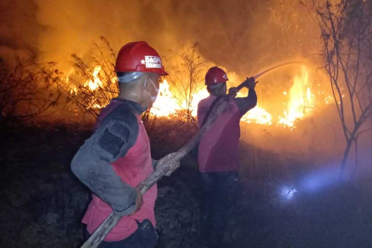 Petugas Manggala Agni Kota Pekanbaru berjibaku memadamkan api karhutla di Desa Karya Indah, Kecamatan Tapung, Kabupaten Kampar, Riau, Senin (4/4/2022) malam.