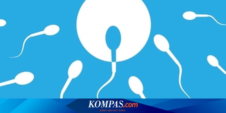 20 Penyebab Kualitas Sperma Buruk, Termasuk Karena Kebiasaan