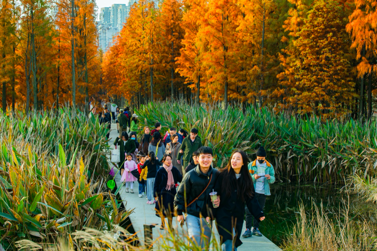 Nanchang Fish Tail Sponge Park