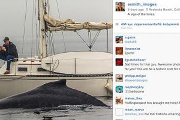 Foto jepretan Eric Smith memperlihatkan pria yang sibuk dengan ponsel dan tidak memperhatikan ikan paus di dekatnya