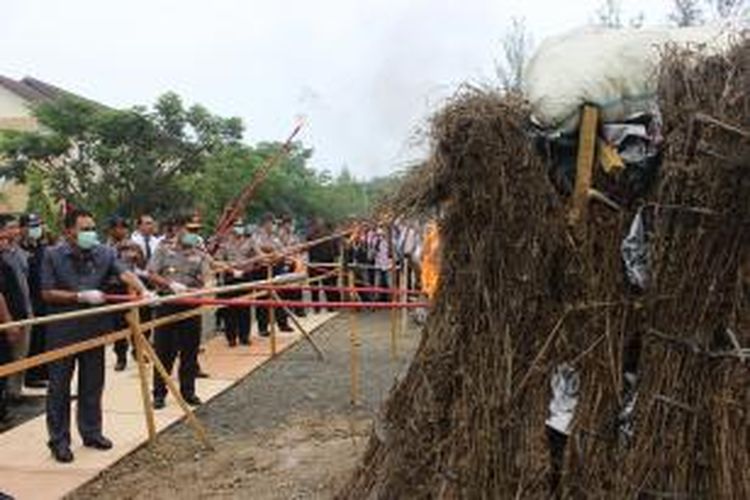 Kapolri Jenderal Badrodin Haiti memusnahkan 14 ton ganja di Mapolda Aceh sebagai hasil tangkapan dari operasi sepanjang tahun 2015. 