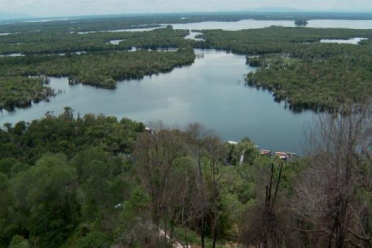 Cerita Nugie Tentang Danau Sentarum