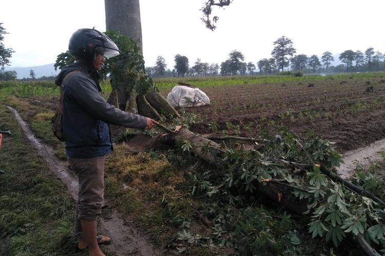 Petugas Polsek Kepung, Kabupaten Kediri, Jawa Timur saat memeriksa lokasi kejadian seorang warga tewas tertimpa dahan pohon di Desa Krenceng, Kamis (19/1/2023).