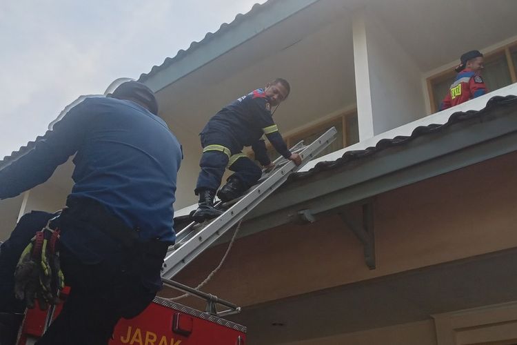petugas tengah berupaya mengevakuasi macan yang ditemukan di sebuah hotel di bandung, senin (6/10/2025)