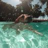 Apakah Semua Anjing Bisa Berenang? Ini Cara Melatihnya 