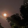 Mengapa Malam Ini Bulan Tampak Lebih Besar dan Bersinar Terang?