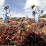 Kuartal I-2022, ANJ Catatkan Kenaikan Laba Bersih 261,9 Persen 