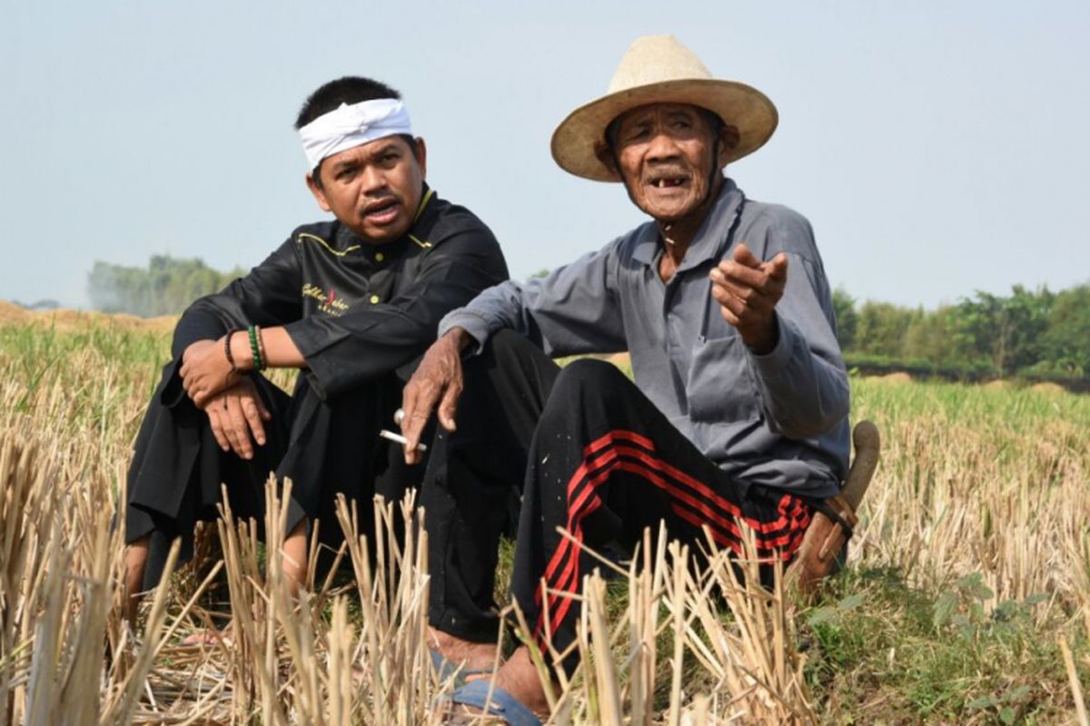 Bupati Purwakarta Dedi Mulyadi (kiri, pakai baju hitam) berbincang dengan salah satu warga di tengah areal sawah