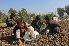 Kenapa Negara-negara Muslim Kaya Tidak Banyak Bantu Afghanistan?