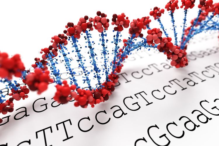 Ilustrasi pengurutan genom (genome sequencing) virus corona. Ilmuwan Australia mengembangkan teknologi pengurutan genom yang lebih cepat melacak Covid-19.