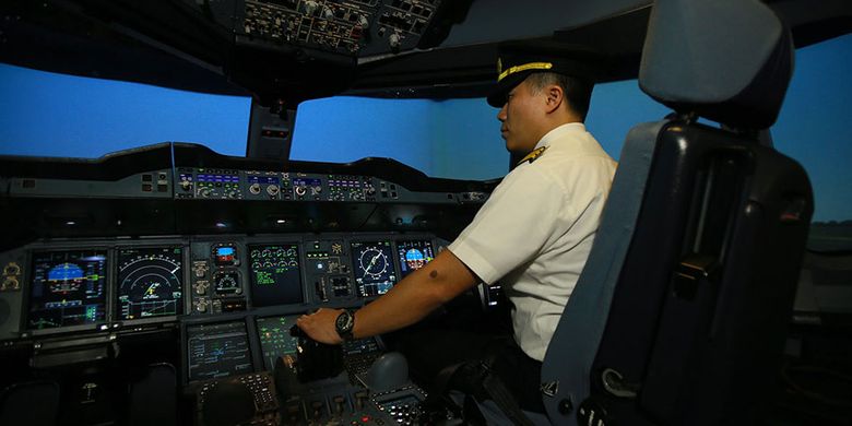 Flight Simulator SIA