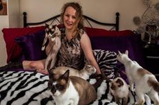 Demi Pelihara 35 Kucing, Wanita Ini Tinggalkan Suami