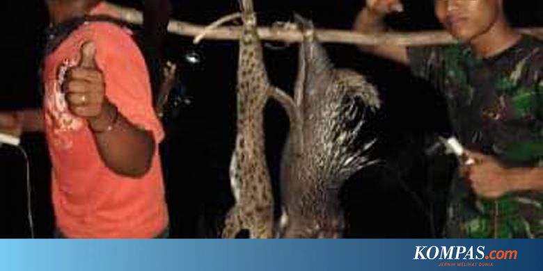 Para Pemburu Kucing Hutan Berlomba Unggah Foto Ke Facebook