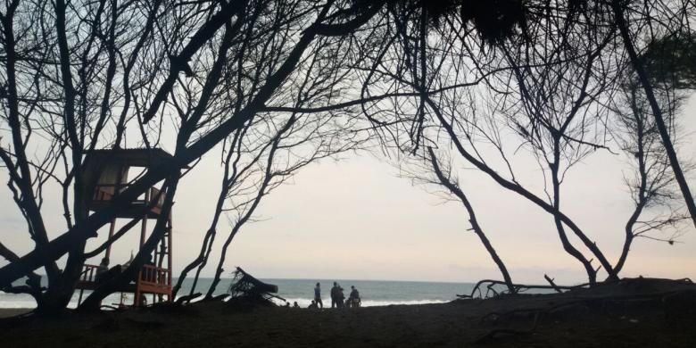 Pantai Goa Cemara di Desa Gadingsari, Kecamatan Sanden, Bantul, Yogyakarta dipenuhi rimbun pohon cemara di kanan-kiri jalan dengan dahannya yang menjuntai saling bertemu membentuk gapura.