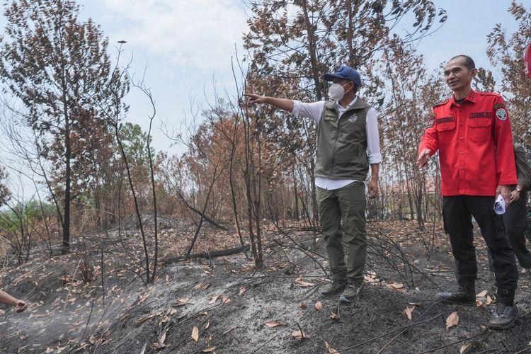 BGN Pastikan MBG di Daerah Terdampak Karhutla Kalimantan Diberhentikan