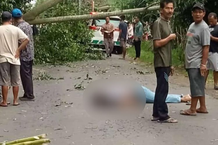 Seorang pengendara motor tewas tertimpa pohon tumbang di jalur Plosoklaten -Gurah, Kabupaten Kediri, Jawa Timur, Kamis (30/1/2025).