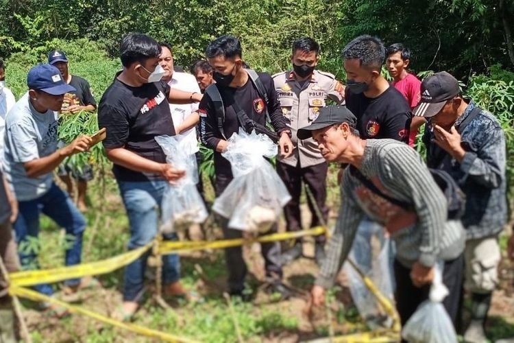 Anggota Polsek Pakuan Ratu, Way Kanan melakukan olah TKP penemuan kerangka manusia di kebun singkong, Jumat (13/5/2022).