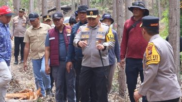 Kapolda Riau Akui Terima Kecaman, Pastikan Kasus Pembunuhan Gajah Sumatera Diusut Serius
