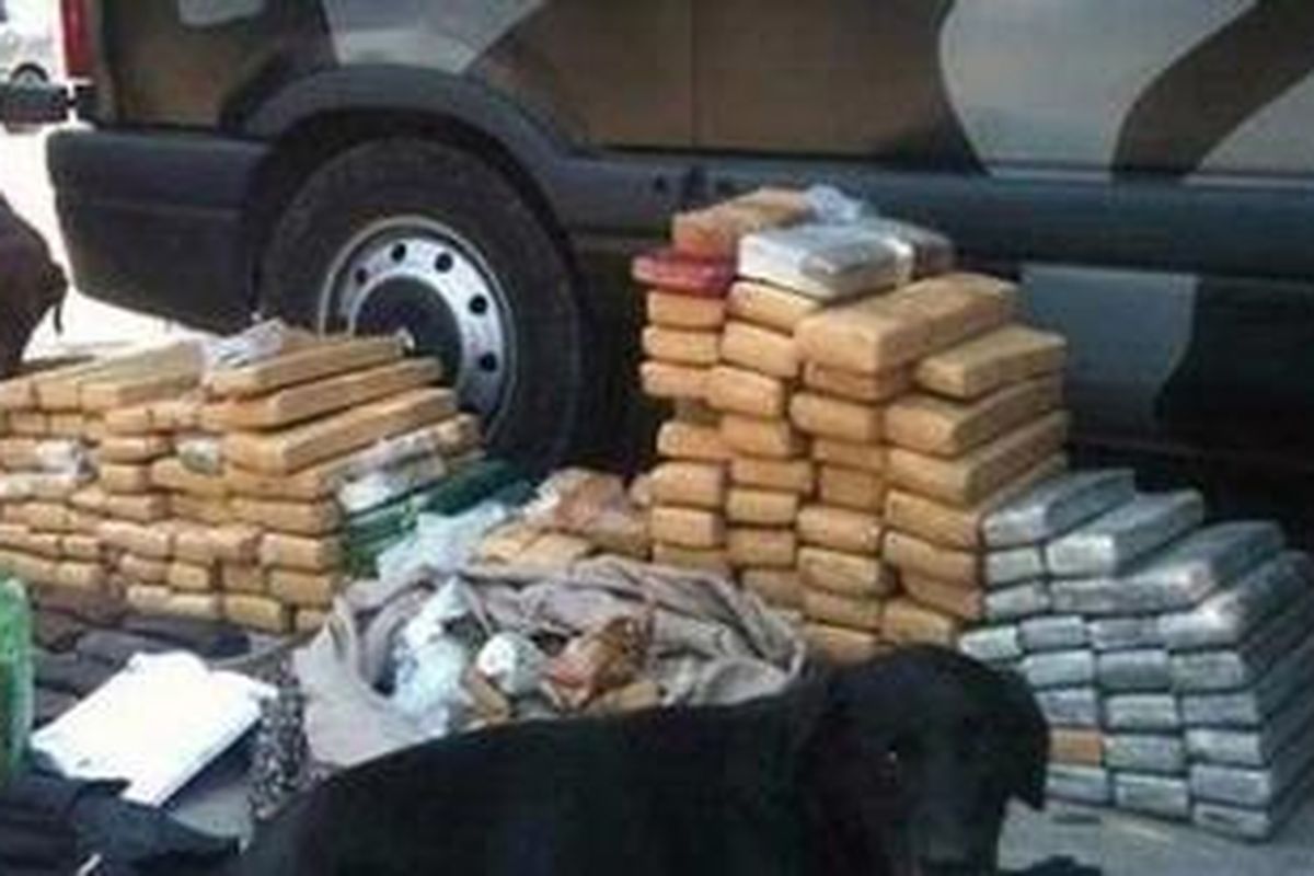 Boss si anjing pelacak dalam salah satu misinya.