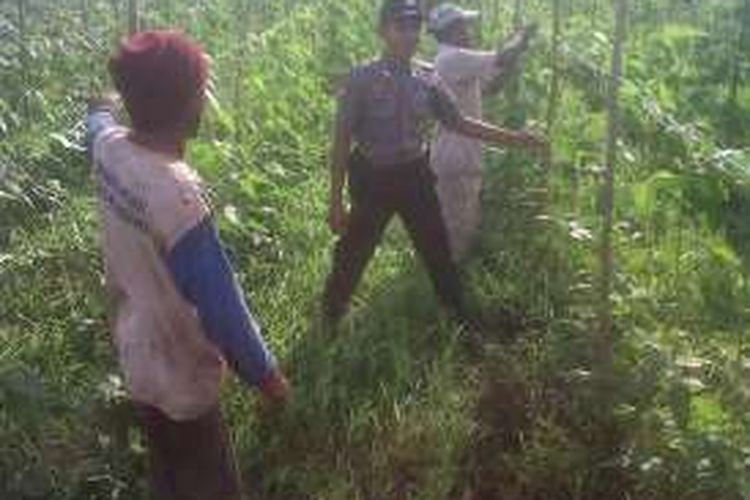 Brigadir Polisi (Brigpol) Sukmawadi (31) sedang mengontrol tanaman pertanian bersama warga yang menjadi anggota kelompoknya 
