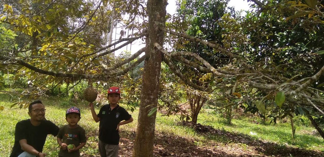 Pengunjung berdiri di tumpukan durian, Desa Kilometer Delapan, Kecamatan Simpang Keramat, Kabupaten Aceh Utara, Minggu (26/7/2020). 