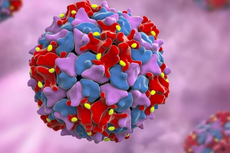 Virus Polio Ditemukan pada Limbah di New York, Ini Gejala yang Bisa Muncul