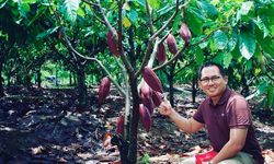 Raih Omzet Rp 1,1 Miliar Per Tahun, Co-Founder Minang Kakao: Ditjenbun Bantu Branding dan Pemasaran