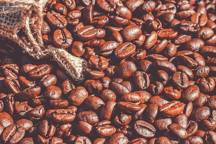 Ilustrasi biji kopi. 