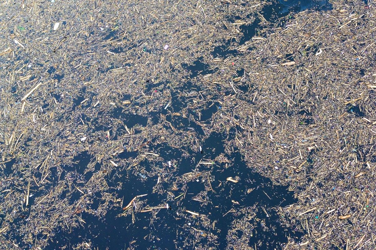 Foto udara sampah dari kayu gelondongan yang hanyut di danau Singkarak di Nagari Muaro Pingai, Kabupaten Solok, Sumatera Barat, Minggu (30/11/2025). Menteri LH Panggil 8 Perusahaan Imbas Gelondongan Kayu di Banjir Sumatera