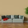 4 Tanaman Indoor yang Dapat Membawa Keberuntungan Menurut Feng Shui